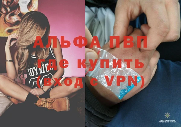 крисы Белокуриха